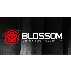 Blossom