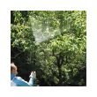 Pulverizator cu presiune pentru spate, Dimartino 15L