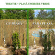 Set 2 trestii 1.5x5 m +Plasa umbrire 90g/mp 1.5x10 m