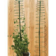 Suport de plante spirala 150 cm