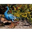 Decoratiune gradina metalica paun albastru 70x23x46cm