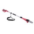 Drujba cu maner telescopic, 20 V, Li-Ion, cu acumulator, incarcator, Worcraft