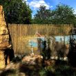 Gard, paravan din trestie 1,5x5m