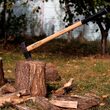 Topor despicat coada lemn Hickory 3 kg