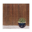 Gard gradina, paravan din rachita naturala 2x5m
