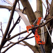 Foarfeca crengi si fierastrau cu maner telescopic 1.8m-2.8m