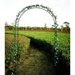 Arcada metalica, pergola gradina 240x37x140x1.2 cm