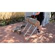 Capra pliabila pentru taiat lemne, metal zincat, 150 kg, Strend Pro