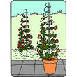 Suport de plante spirala 150 cm