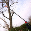 Foarfeca crengi si fierastrau cu maner telescopic 1.8m-2.8m