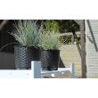 Ghiveci de flori rotund, 16.5 cm, alb, Strend Pro
