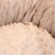 Culcus moale cu perna, pentru caine/pisica, crem, 50 cm, Minky 