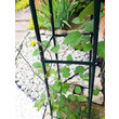 Suport de plante PYRAMID 31x31x200 cm