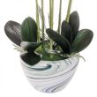 Orhidee arificiala cu ghiveci din ceramica, roz, 75 cm, Springos