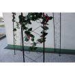Arcada metalica,pergola 180x39x240 cm