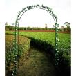 Arcada metalica, pergola gradina 240x37x140x1,2 cm