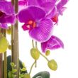 Orhidee arificiala cu ghiveci, violet, 80 cm, Springos