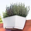 Jardiniera decorativa, Prosperplast, imitatie ratan, suport, alba, 49.2x17.2x17.4 cm