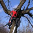Foarfeca electrica de gradina cu maner telescopic, acumulator 1.5 Ah, 7.2 V