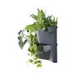 Ghivece decorative de flori, modular, Cascade Garden Wall, antracit, set 2 buc, 78x19x35 cm