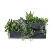 Ghivece decorative de flori, modular, Cascade Garden Wall, antracit, set 2 buc, 78x19x35 cm