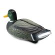 Decoratiune plastic plutitoare Ratoi 41x19x17 cm