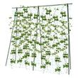 Ansamblu suport araci cu plasa pentru cresterea plantelor cataratoare, castraveti, fasole, mazare, 210 x 210 cm