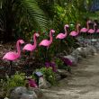 Lampa gradina solara 3 flamingo