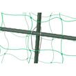 Ansamblu suport araci cu plasa pentru crestere castraveti, fasole, mazare, 180x180 cm, Strend Pro