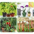 Set 20 suporti/arac pentru plante, rosii, fibra de sticla, 120x0.7 cm 