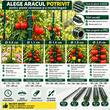 Set 25 araci gradina, tutori suport pentru flori si plante cataratoare, otel acoperit cu PVC, rezistenti la rugina, verde, 90x0.8 cm, Artool