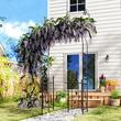 Arcada metalica, pergola pentru gradina, cu portita, 107x45x217 cm