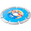 Disc diamantat segmentat, 125x10x22.23 mm, Richmann 