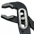 Cleste papagal, 250 mm, RICHMANN EXCLUSIVE