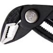 Cleste papagal 300 mm, RICHMANN EXCLUSIVE