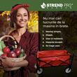 Carucior pliabil pentru transport Strend Pro pentru legume si produse din gradina