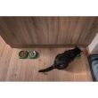 Castron, bol, plat, pentru caine, pisica, suporti antiderapanti, PET reciclat, verde, 130x130x36 mm