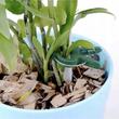 Cleme/clipsuri, legat, prindere, sustinere, plante, plastic, set 108 buc, 2 dimensiuni, Gardlov