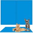 Covoras cu efect de racire pentru caine/pisica, impermeabil, albastru, marime XL, 65x50 cm, Springos