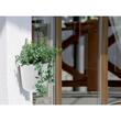 Ghiveci decorativ cu lant, Prosperplast, Rato Round, rotund, alb, 25.6x21.9 cm
