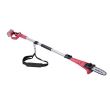 Drujba electrica pentru crengi, 20V Li-ion, cu acumulator 2 Ah, incarcator, maner telescopic, Worcraft