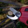 Foarfeca electrica de gradina, cu acumulator 1.5 Ah, incarcator 7.2 V, maner telescopic, Strend Pro