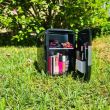 Frigider turistic, mini, 12V/220V, 4 L, 17.5x23.5x25 cm, Malatec