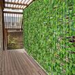 Gard viu artificial pentru gradina/terasa/balcon, frunze de artar, PE, verde, 300x150 cm