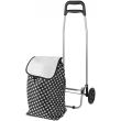 Geanta/carucior de cumparaturi pe roti, PE/PVC, EVA, 20 kg, 35x30x94 cm, Gabi
