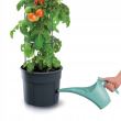 Ghiveci decorativ pentru rosii, rotund, antracit, 39.2x31.5x153 cm, Tomato Grower 