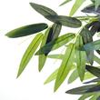 Planta bambus artificiala cu ghiveci, verde, 180 cm