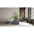 Jardiniera decorativa, Urbi Case Beton Effect, 58x18x49.8 cm, gri, Prosperplast