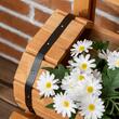 Jardiniera decorativa cu suport pentru plante cataratoare, lemn, 2 nivele, tip butoi, 45x45x80 cm