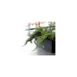 Jardiniera decorativa, sistem irigare, imitatie ratan, antracit, 30 L, 60x25x24 cm, Rato Case